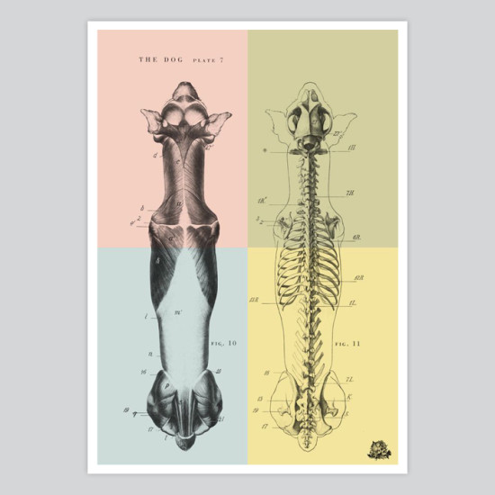 art prints