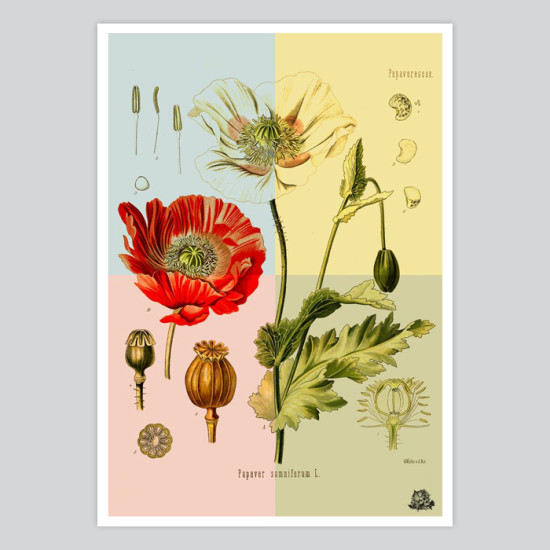 art prints